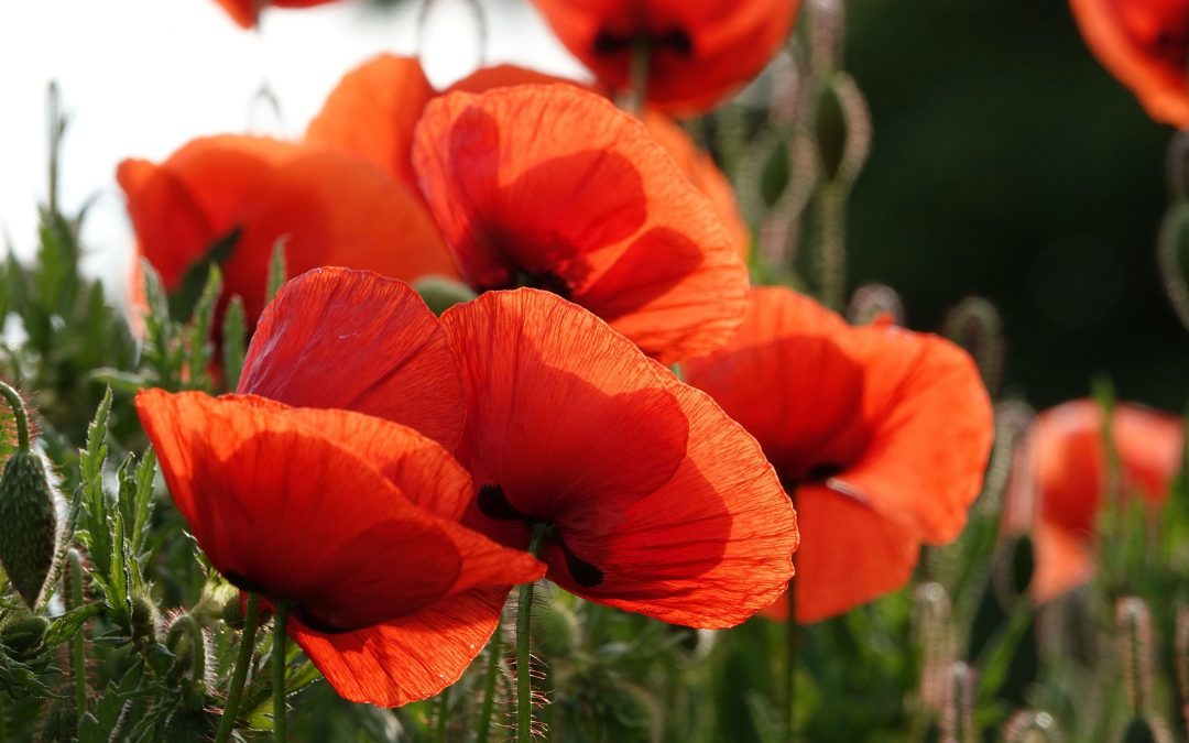 Erzählcafé am 28. Mai 2026